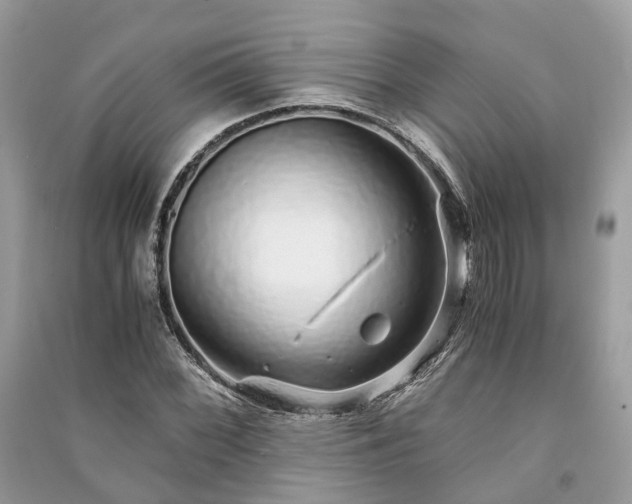 X0000090991068200708091514