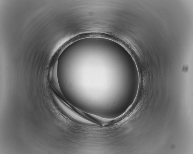 X0000090991069200708091514