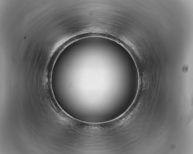 X0000090991070200708091514