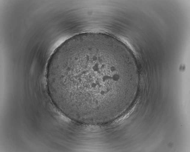 X0000090991071200708091514