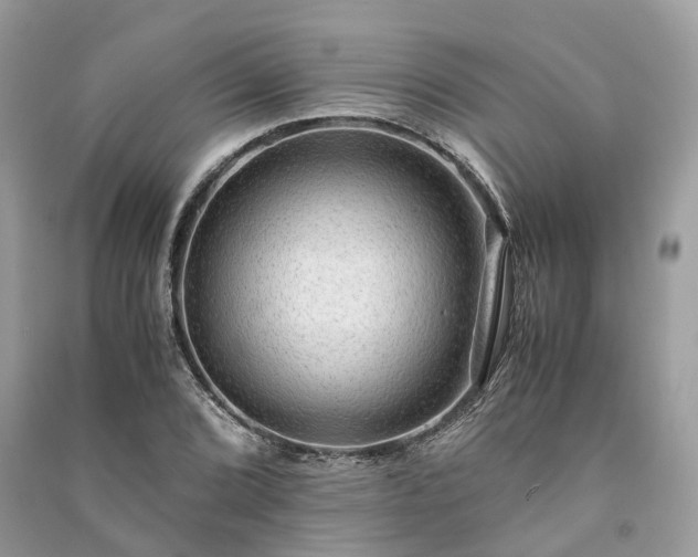 X0000090991072200708091514