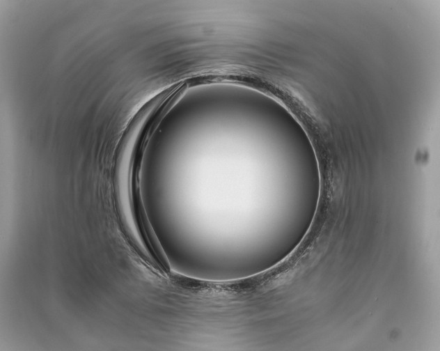 X0000090991073200708091514