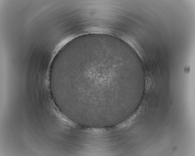 X0000090991074200708091514