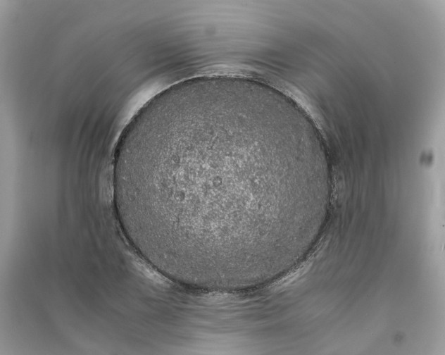 X0000090991075200708091514