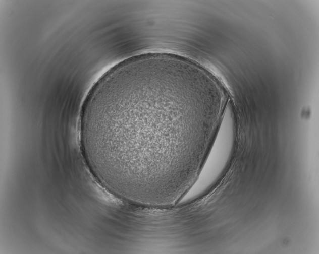 X0000090991076200708091514