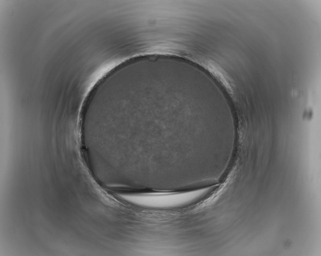 X0000090991077200708091514