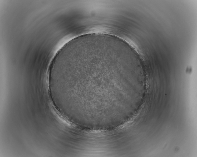 X0000090991078200708091514