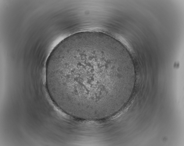 X0000090991079200708091514