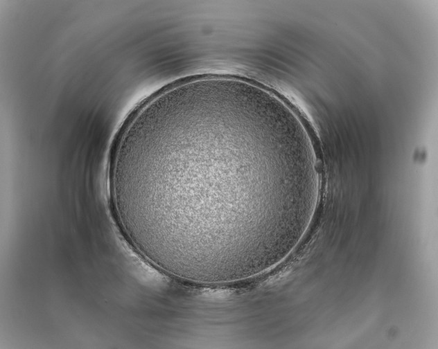 X0000090991080200708091514