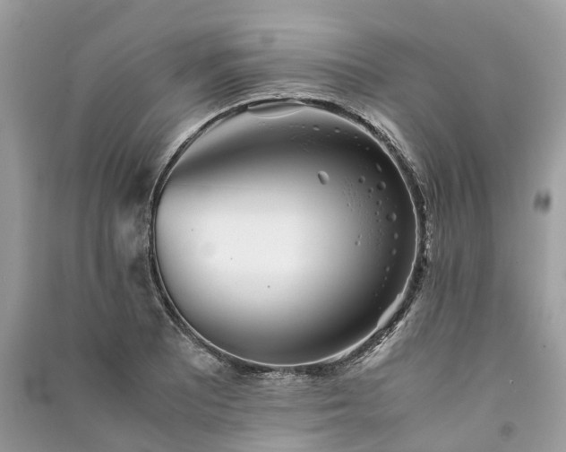 X0000090991081200708091514