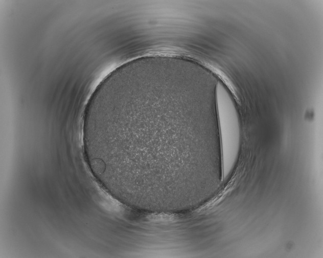 X0000090991083200708091514