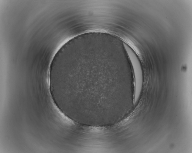 X0000090991084200708091514