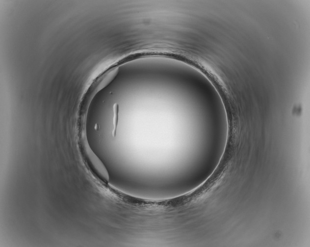 X0000090991085200708091514