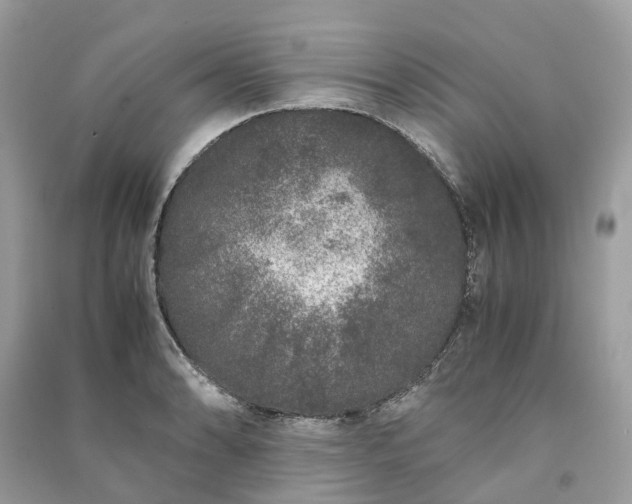 X0000090991086200708091514