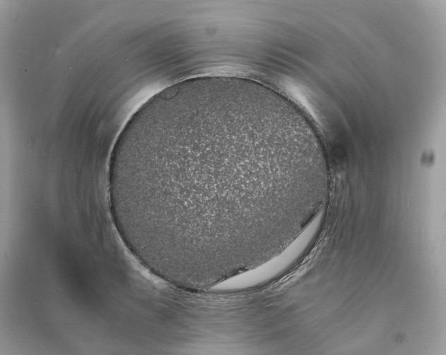 X0000090991087200708091514