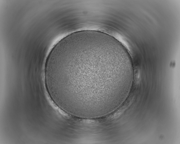 X0000090991088200708091514