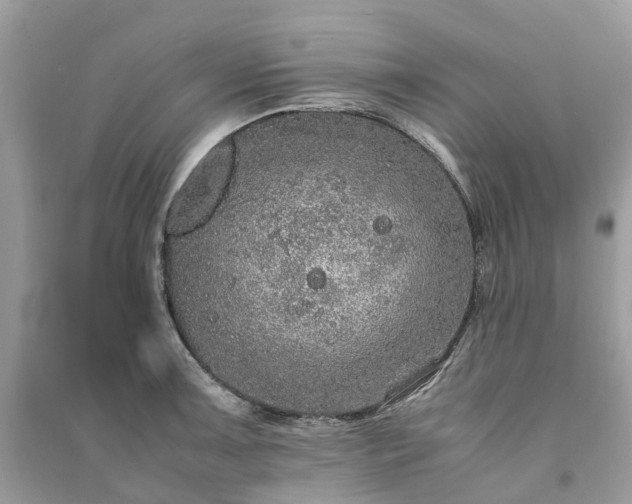 X0000090991091200708091514