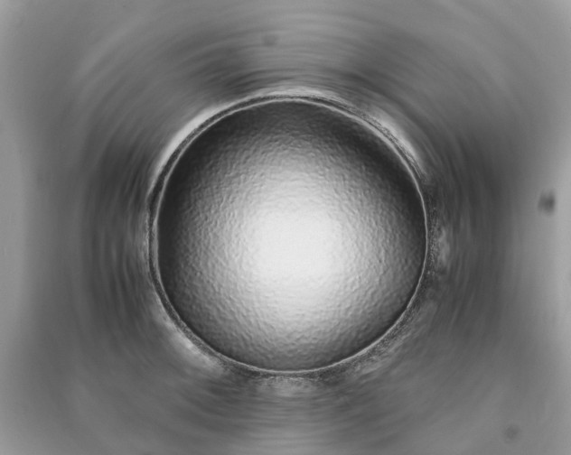 X0000090991092200708091514