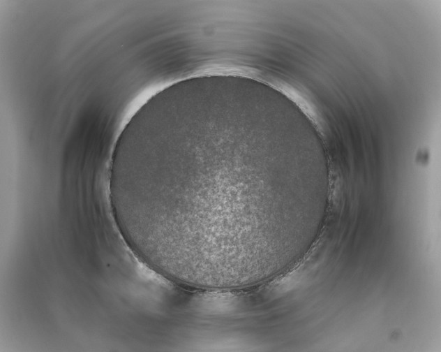 X0000090991094200708091514