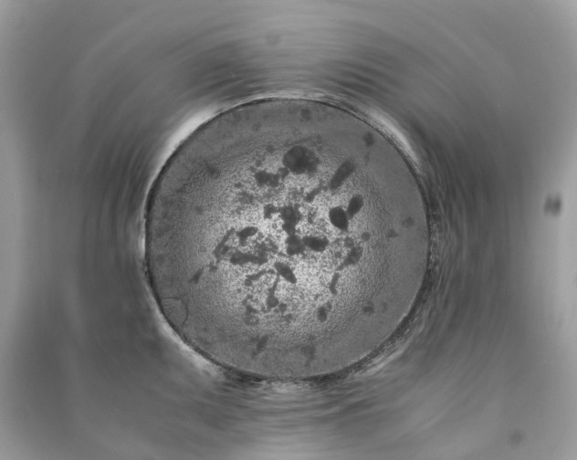 X0000090991095200708091514