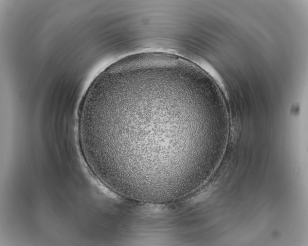 X0000090991096200708091514