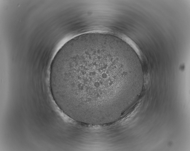 X0000090991099200708091514