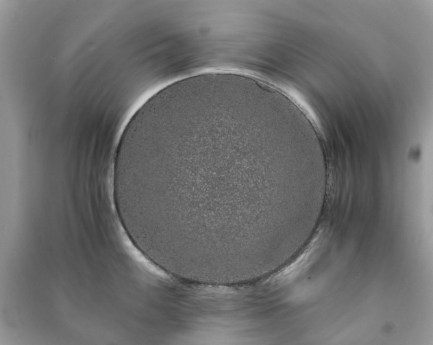 X0000090991100200708091514