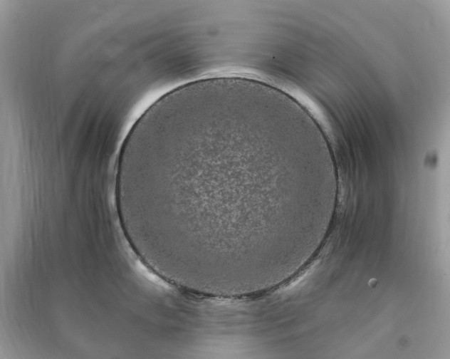 X0000090991102200708091514