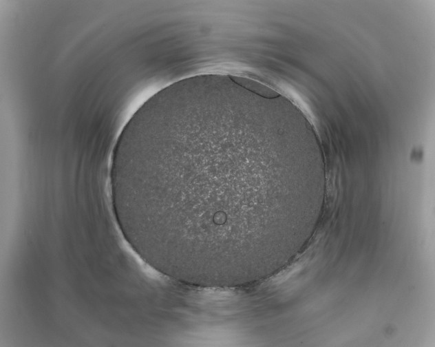 X0000090991103200708091514