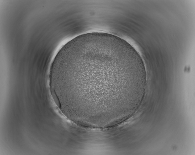 X0000090991104200708091514