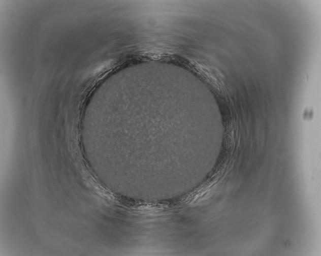 X0000090991105200708091513