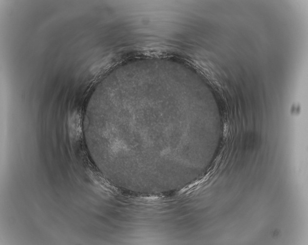 X0000090991106200708091513