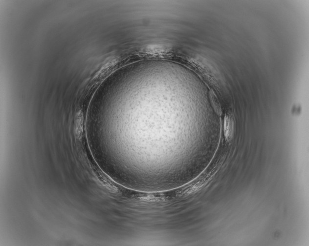 X0000090991107200708091513