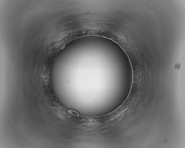 X0000090991109200708091513