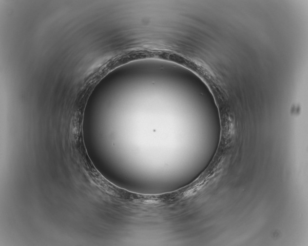 X0000090991110200708091513