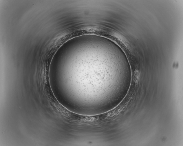 X0000090991111200708091513