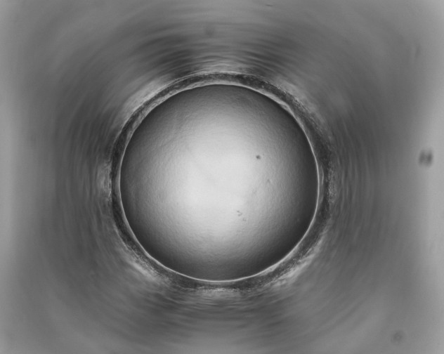 X0000090991113200708091513