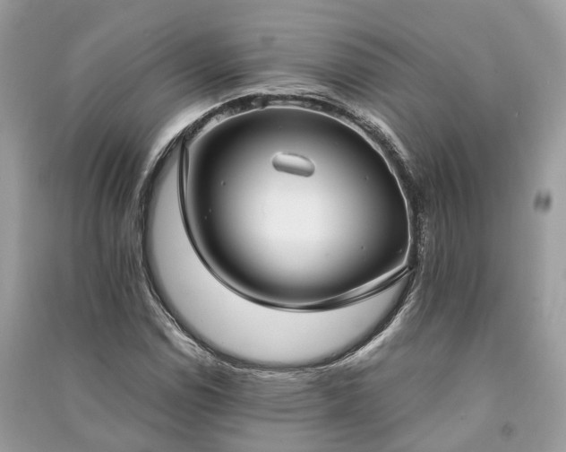 X0000090991114200708091513