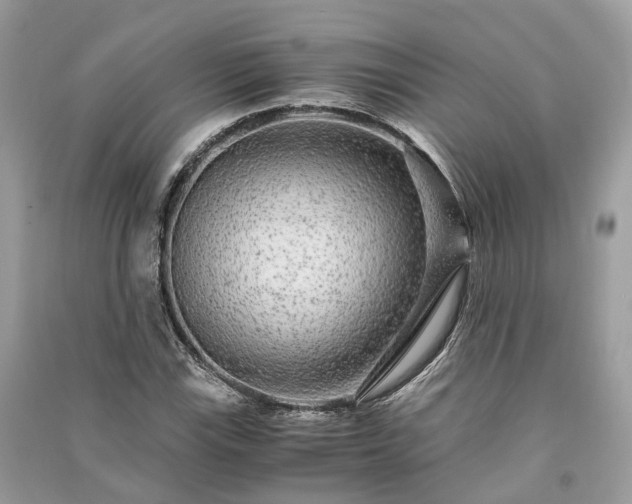 X0000090991115200708091513