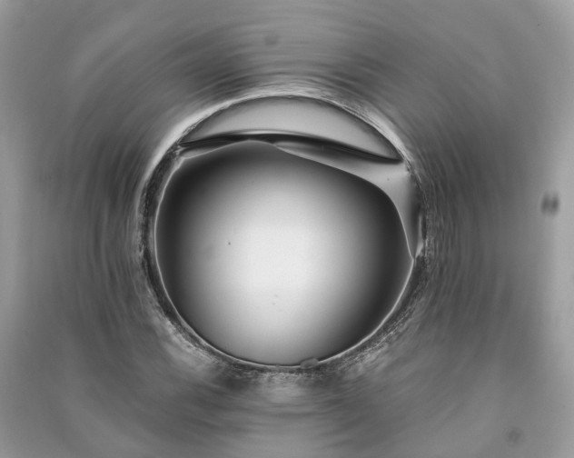 X0000090991116200708091513