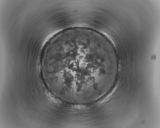 X0000090991117200708091513