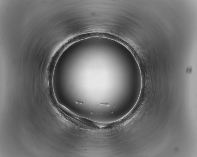 X0000090991118200708091513