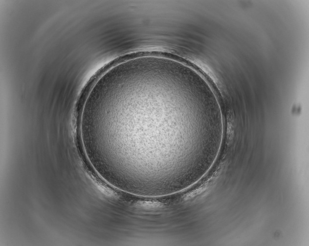 X0000090991119200708091513