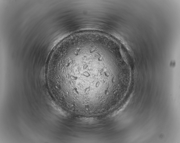 X0000090991121200708091513