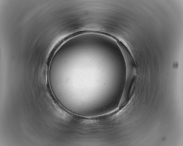 X0000090991123200708091513