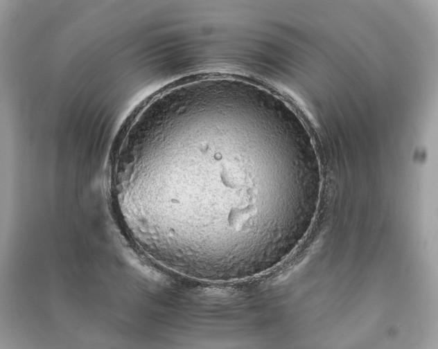 X0000090991125200708091513