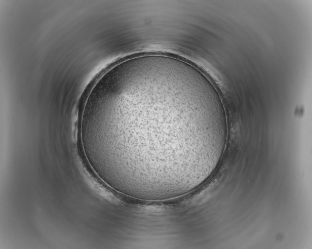 X0000090991126200708091513