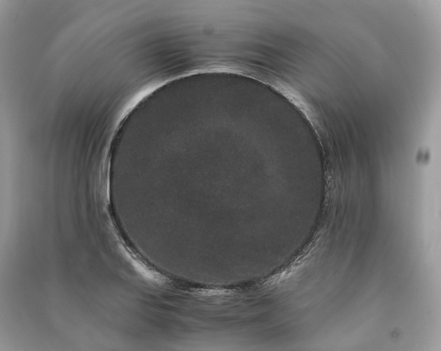 X0000090991127200708091513