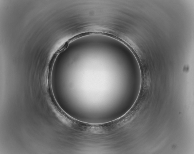 X0000090991128200708091513