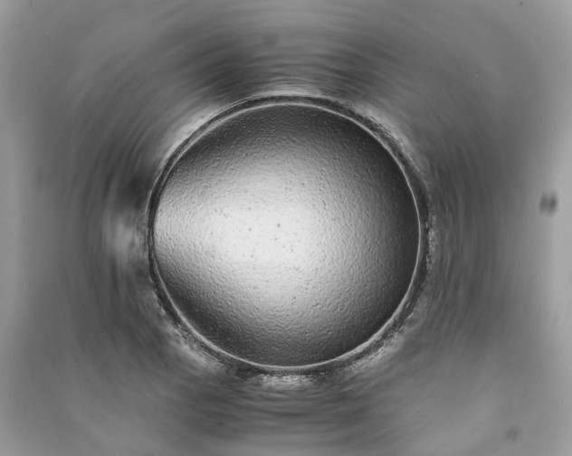 X0000090991129200708091513